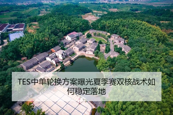 TES中单轮换方案曝光夏季赛双核战术如何稳定落地
