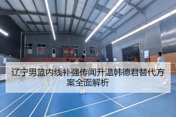 辽宁男篮内线补强传闻升温韩德君替代方案全面解析
